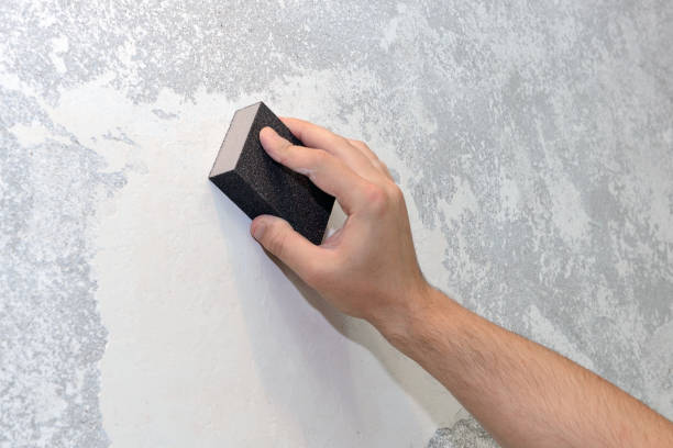 Best Mold Prevention Services  in Forestville, OH