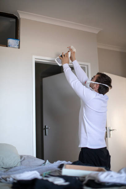 Best Asbestos and Lead Testing During Mold Inspection  in Forestville, OH