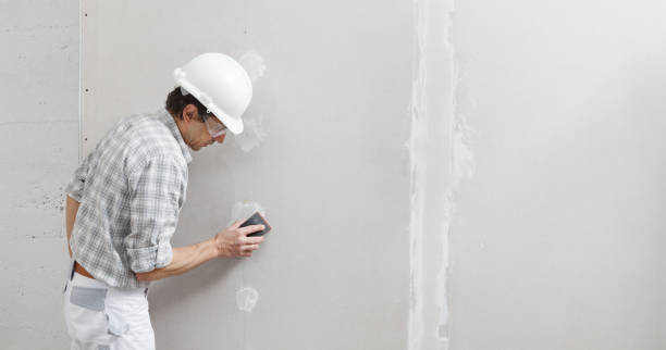Best Post-Remediation Verification Testing  in Forestville, OH