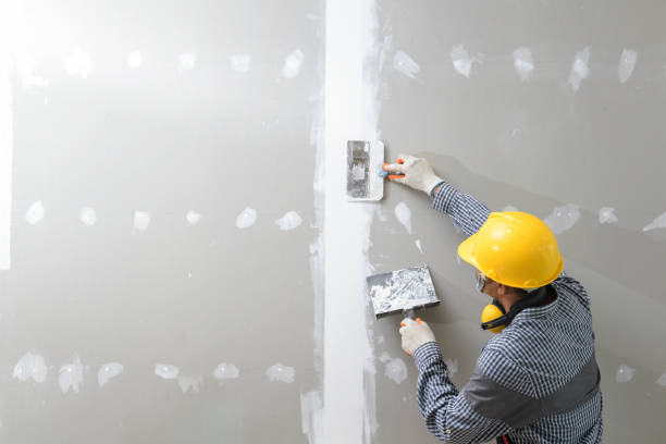 Best Environmental Consulting for Mold Prevention  in Forestville, OH