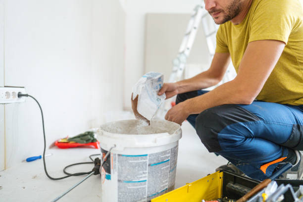Best Industrial Mold Remediation  in Forestville, OH