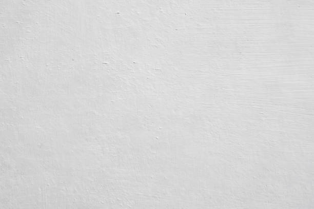 Best Attic Mold Removal  in Forestville, OH