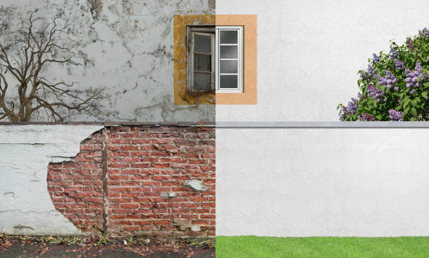 Best Residential Mold Inspection & Testing  in Forestville, OH