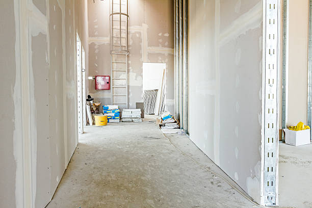 Best Mold Removal for HVAC Installations  in Forestville, OH