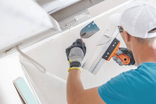 Trusted Forestville, OH Mold Removal Experts